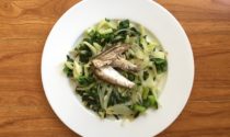 Fennel, kale and sardine salad