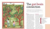 The gut-brain connection