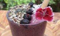 Berry Protein Smoothie